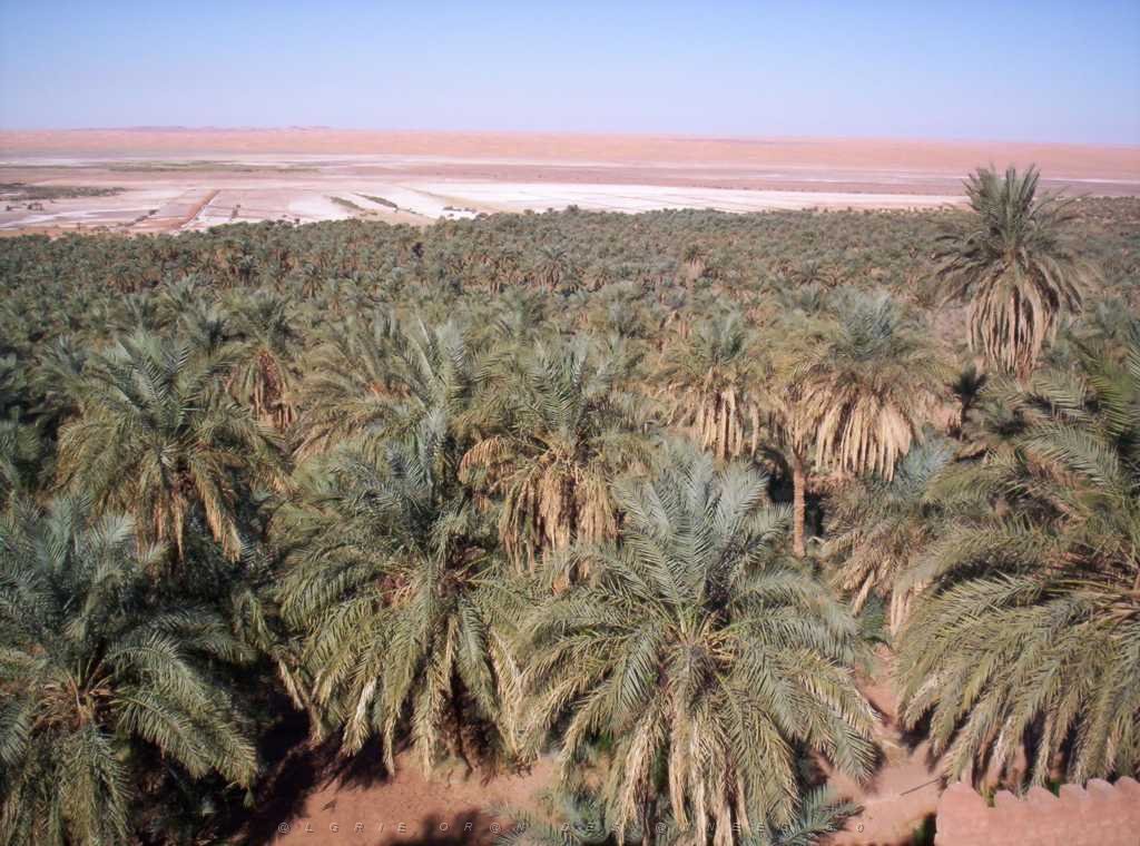 TIMIMOUN DECEMBRE 2004 N022.JPG